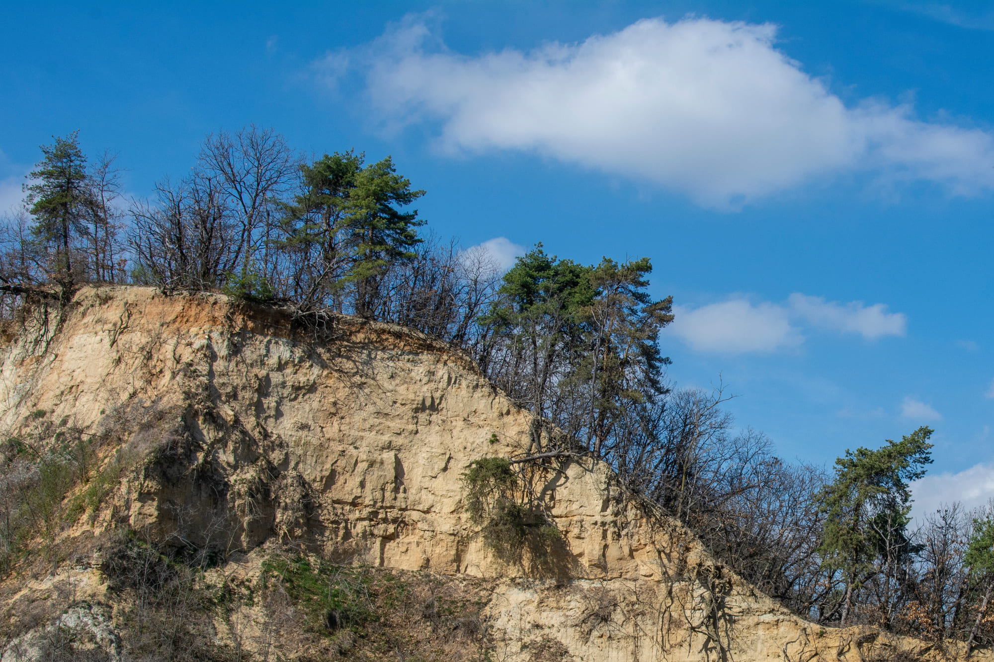 Rocche del roero-foto1