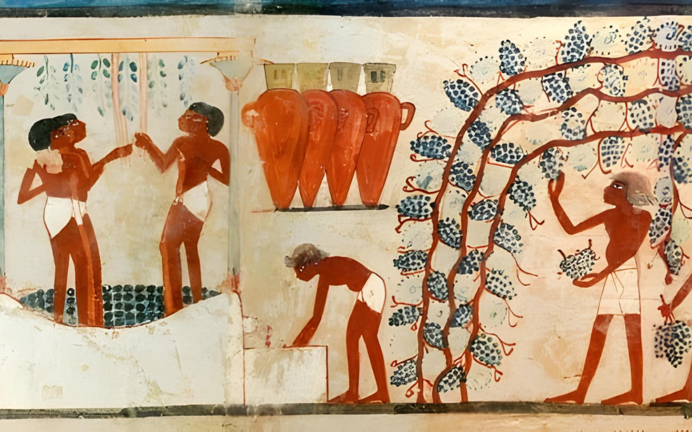 anfore-antico-egitto-etichette