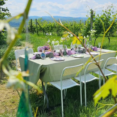 pic nic in vigna