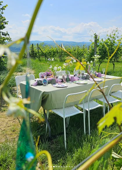pic nic in vigna pic nic in vigna