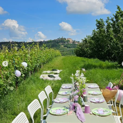 pic nic in vigna
