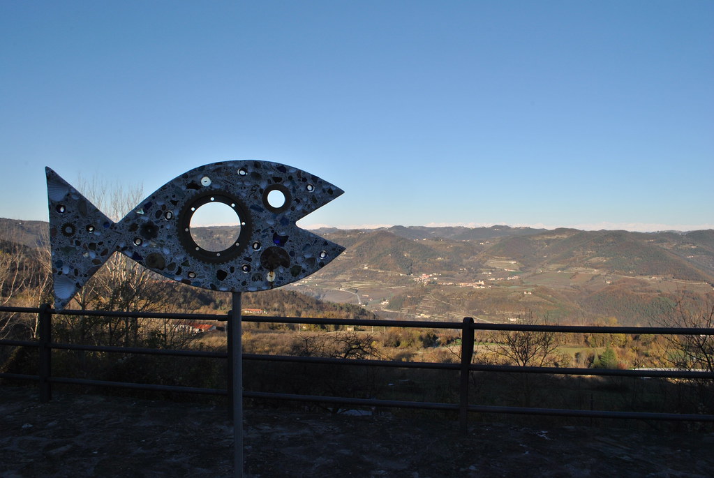 Pesce Bergolo - eventi