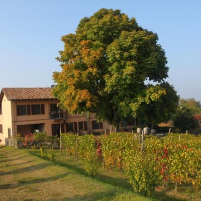 Cascina del Rosone - eventi