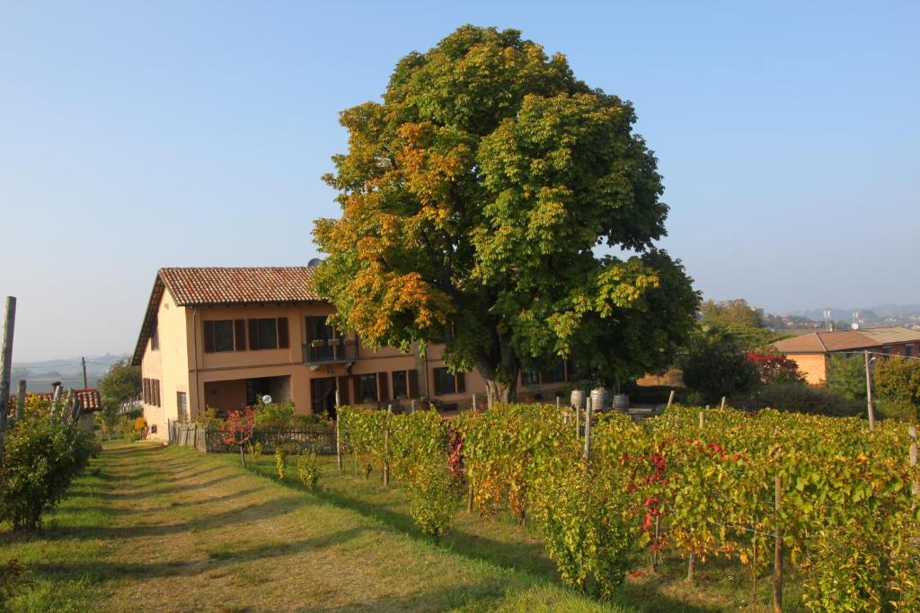 Cascina del Rosone - eventi