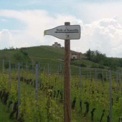 nascetta day - eventi