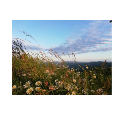 terre alte alta langa – eventi terre alte alta langa - eventi