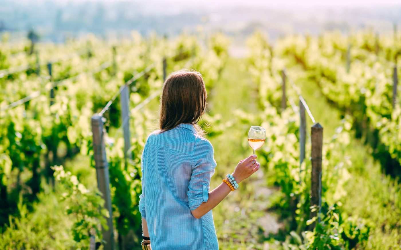 Degustazione in vigna