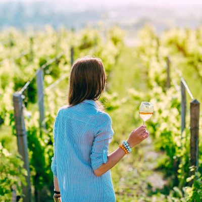 Degustazione in vigna