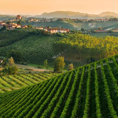 Vigneti di Asti - eventi