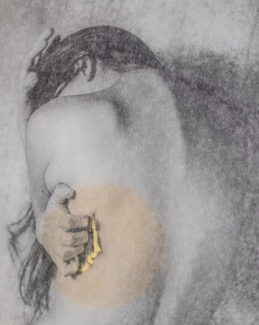 Diego Dominici. Confine - eventi