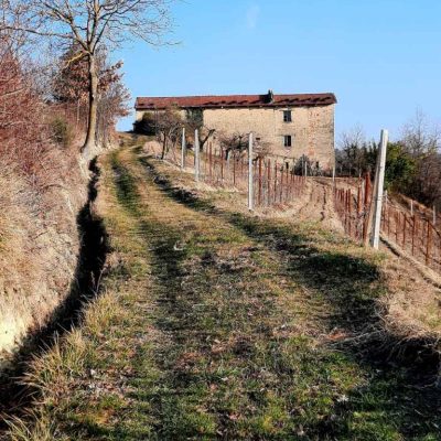 cissone - eventi