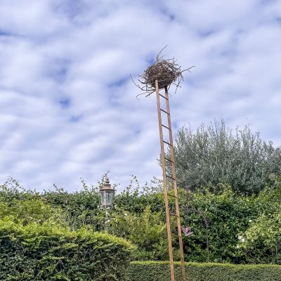 Nido - eventi