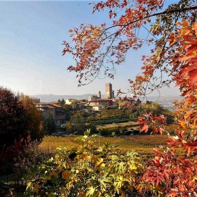 Barbaresco autunno rosso
