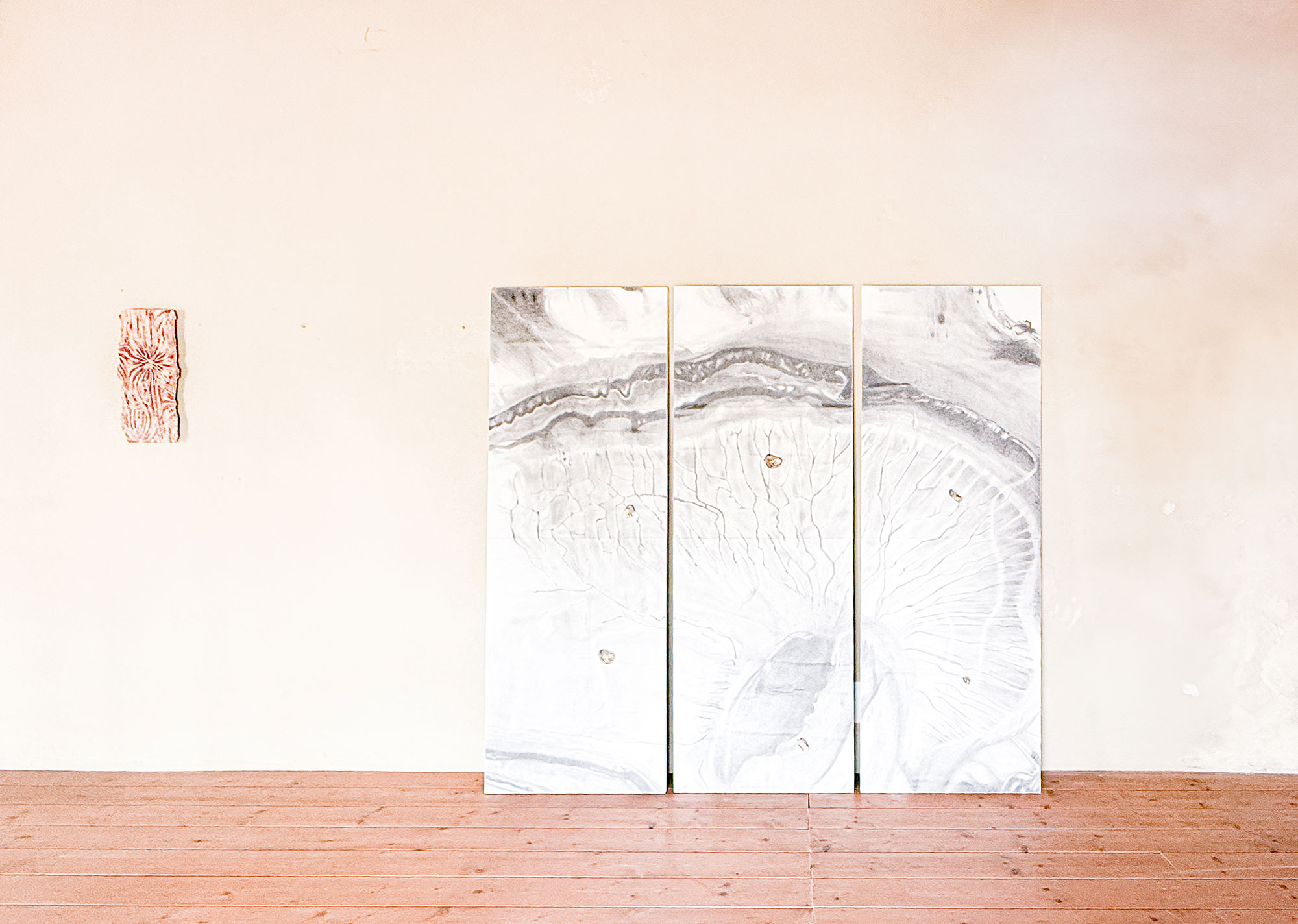 Descensio - eventi