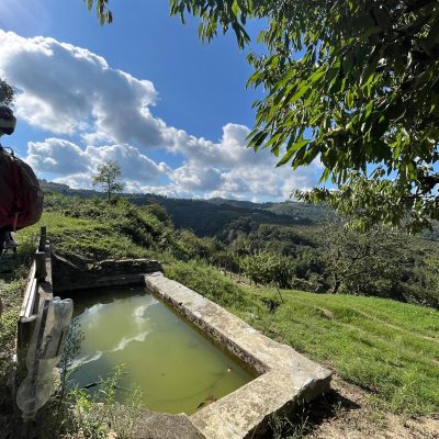 langhe paesaggio - eventi