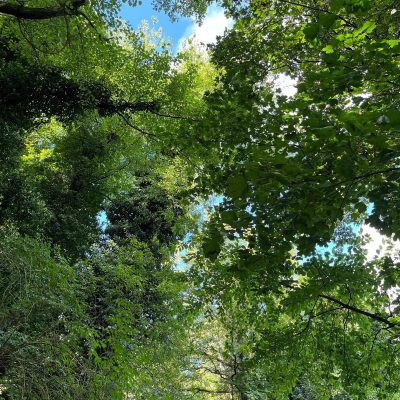 paesaggi langhe - eventi