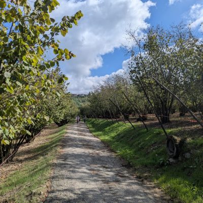 paesaggio langhe - eventi