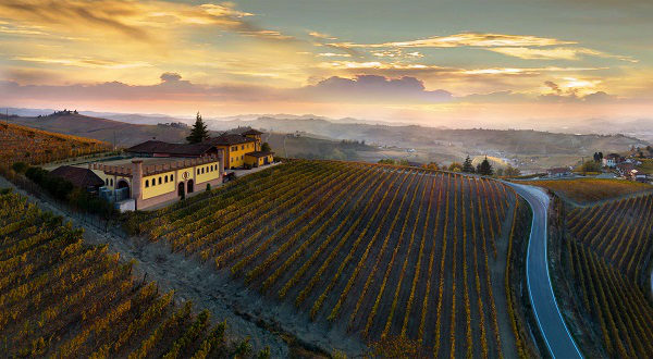pier paolo grasso vini - eventi pier paolo grasso vini - eventi