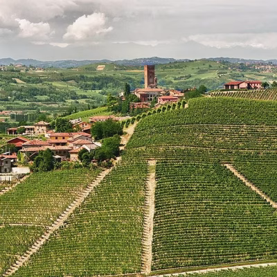 rabaglio vini - eventi