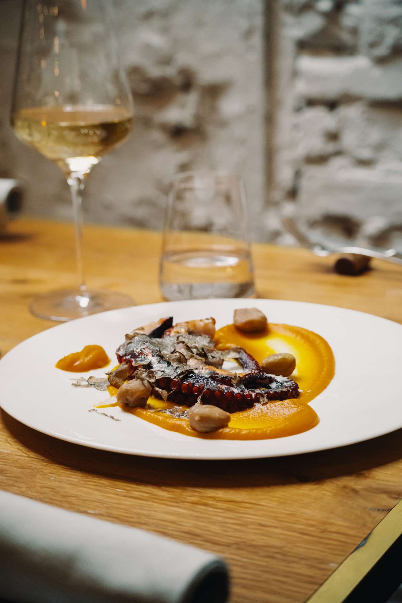 Il calamaro fiammeggiato Albamare - Il calamaro fiammeggiato