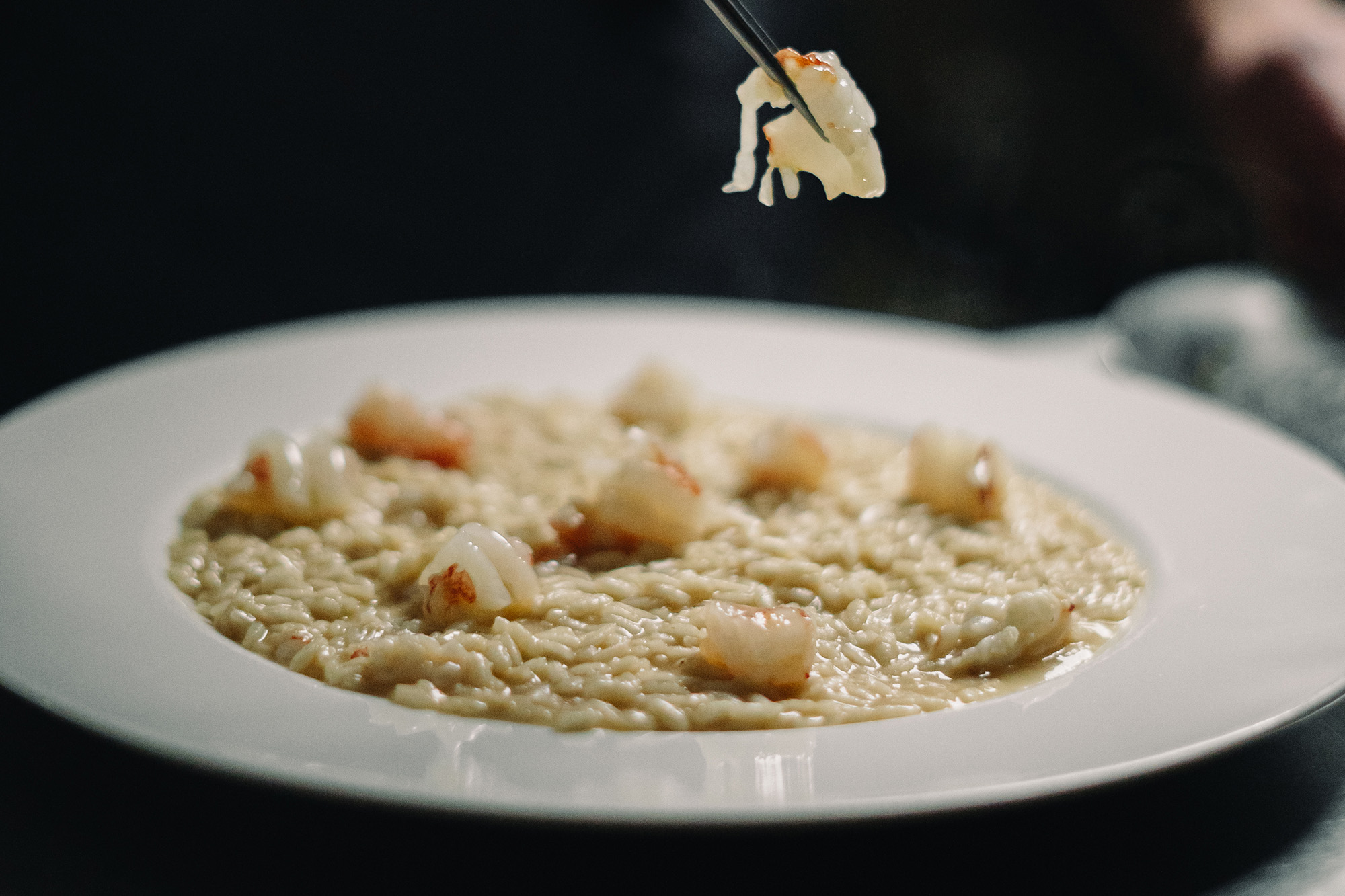 Sapori autentici che parlano di terra e di mare Albamare - Risotto