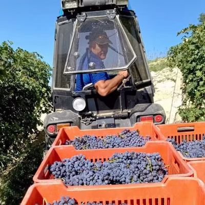 cantina flori - eventi