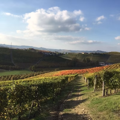 cascina le doti - eventi