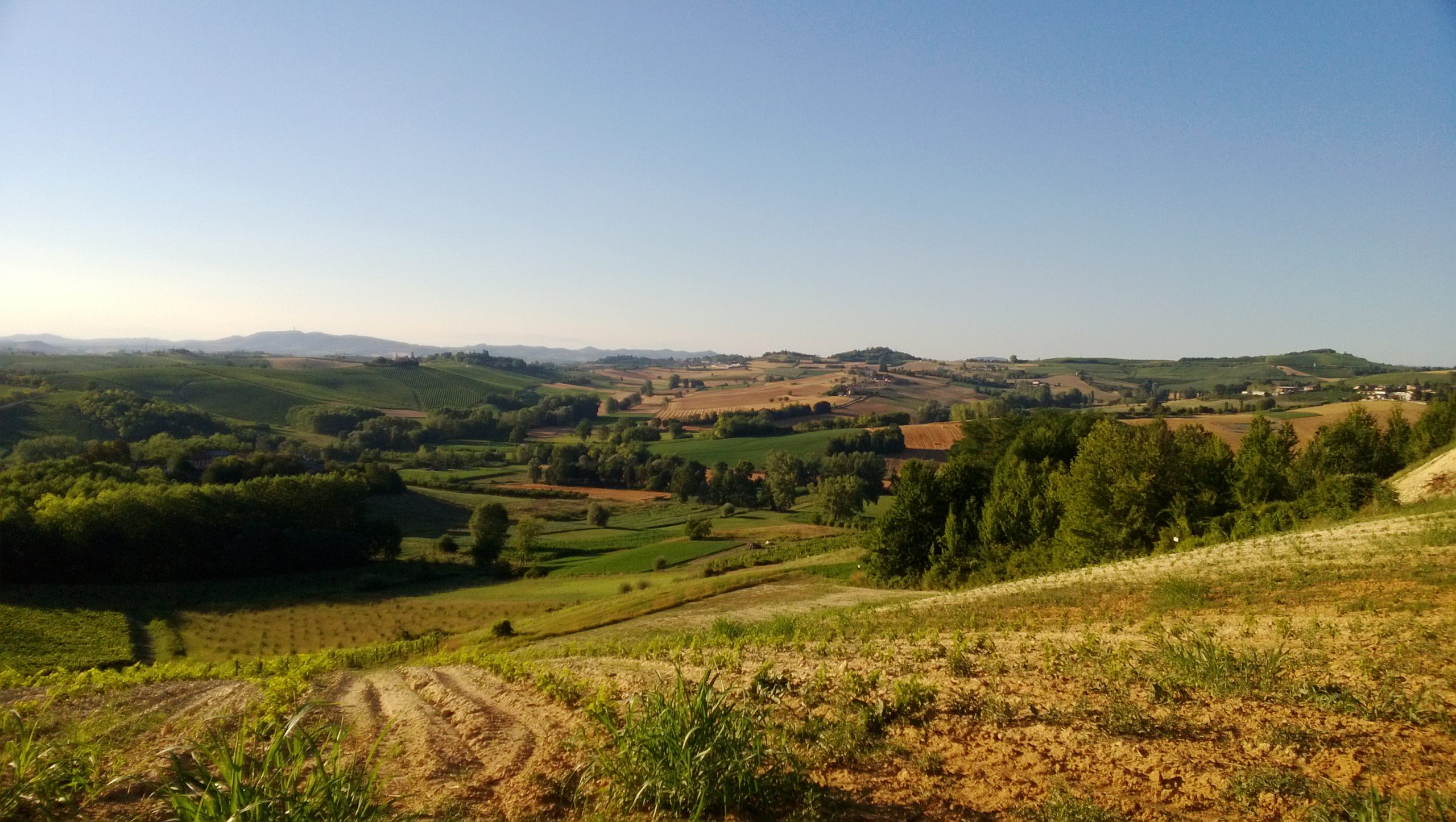 colline- eventi colline- eventi
