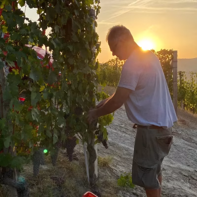 fenocchio renato - eventi
