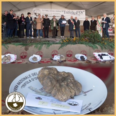 fiera internazionale tartufo Murisengo – eventi fiera internazionale tartufo Murisengo - eventi
