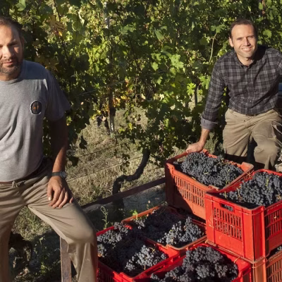 francone vini - eventi