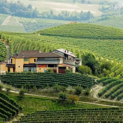 pellissero pasquale - eventi