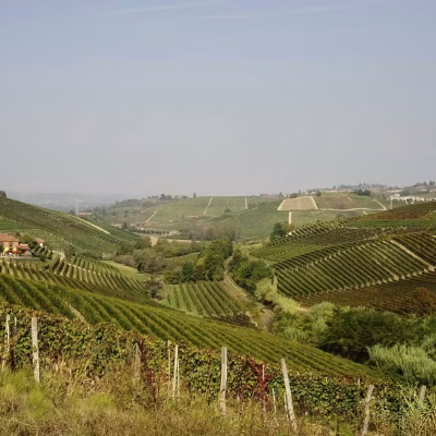 taverna vini - eventi