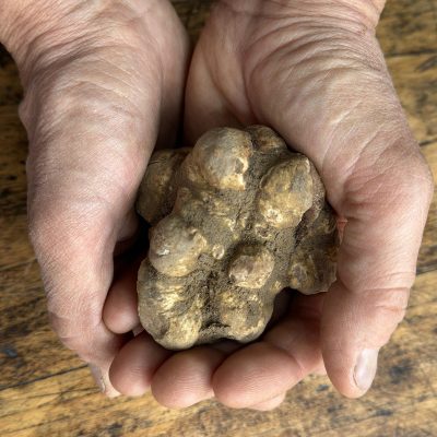 Fiera-del-Tartufo-a-Castelnuovo-Don-Bosco