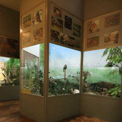 Museo Craveri - eventi