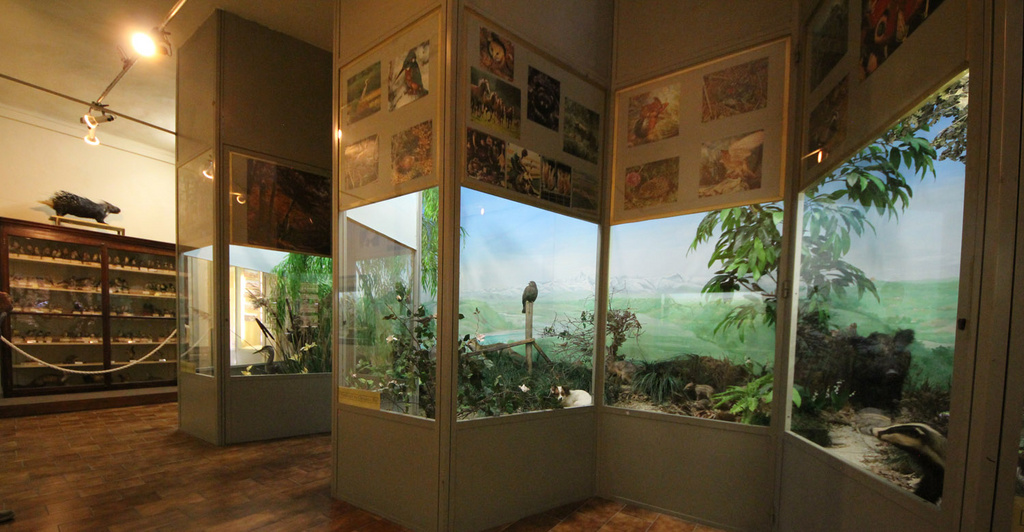 Museo Craveri - eventi