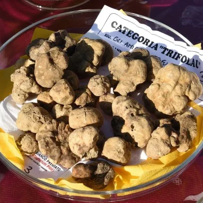 castelnuovo don bosco fiera - eventi