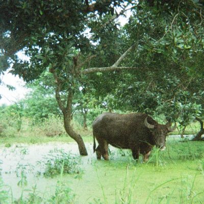 Gli strumenti della solitudine - eventi