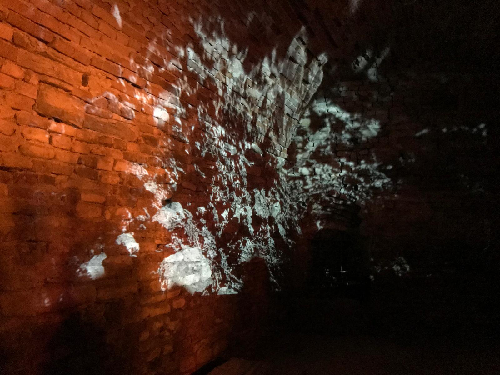 Timeless Monferrato Art Project - eventi