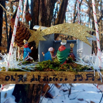 Presepi naturali - eventi