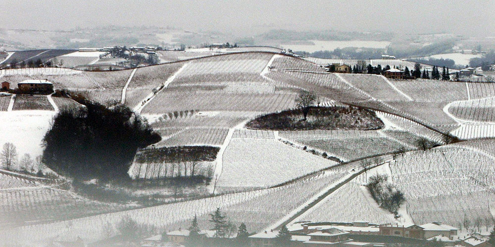 visite_in_cantina_natale