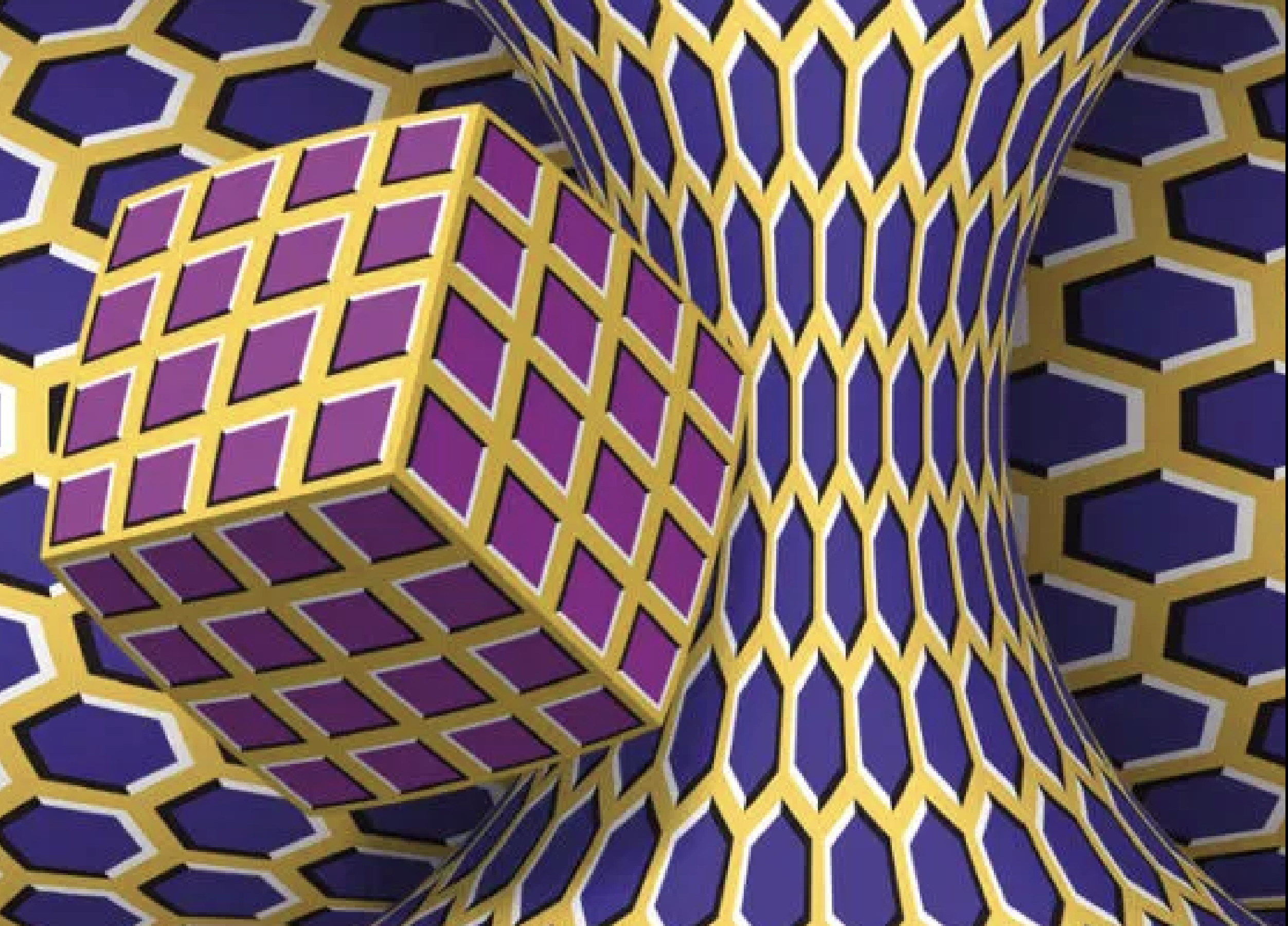 musei dei campionissimi illusioni - eventi