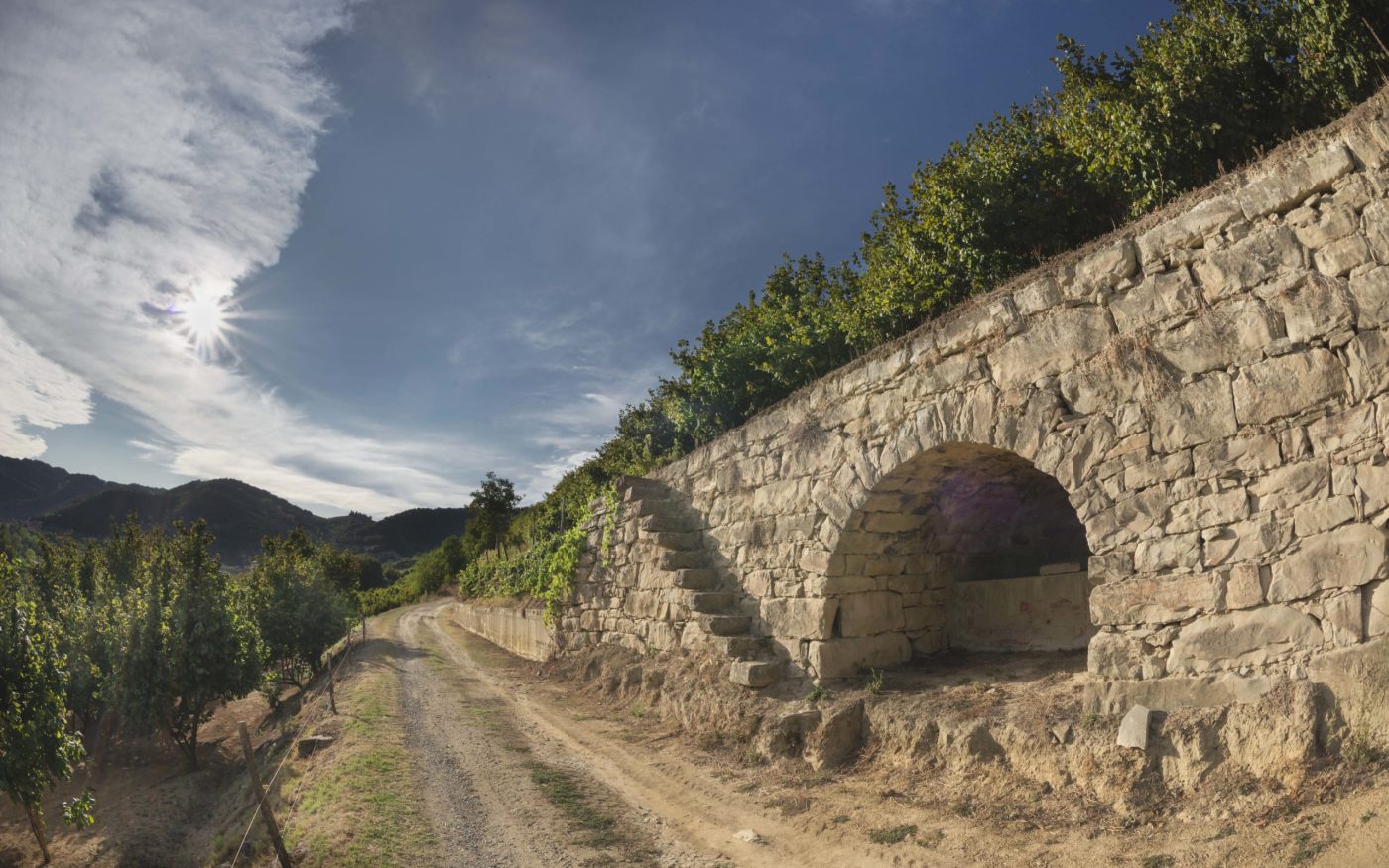 the-hazelnut-groves-enzo-massa-photography-volume