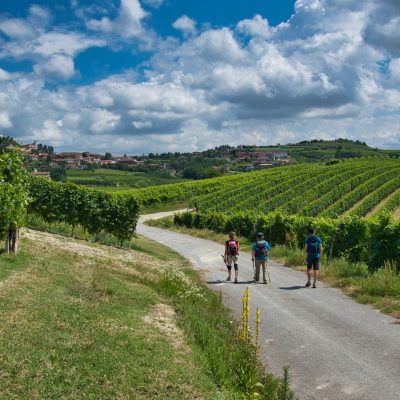 camminate alba - eventi