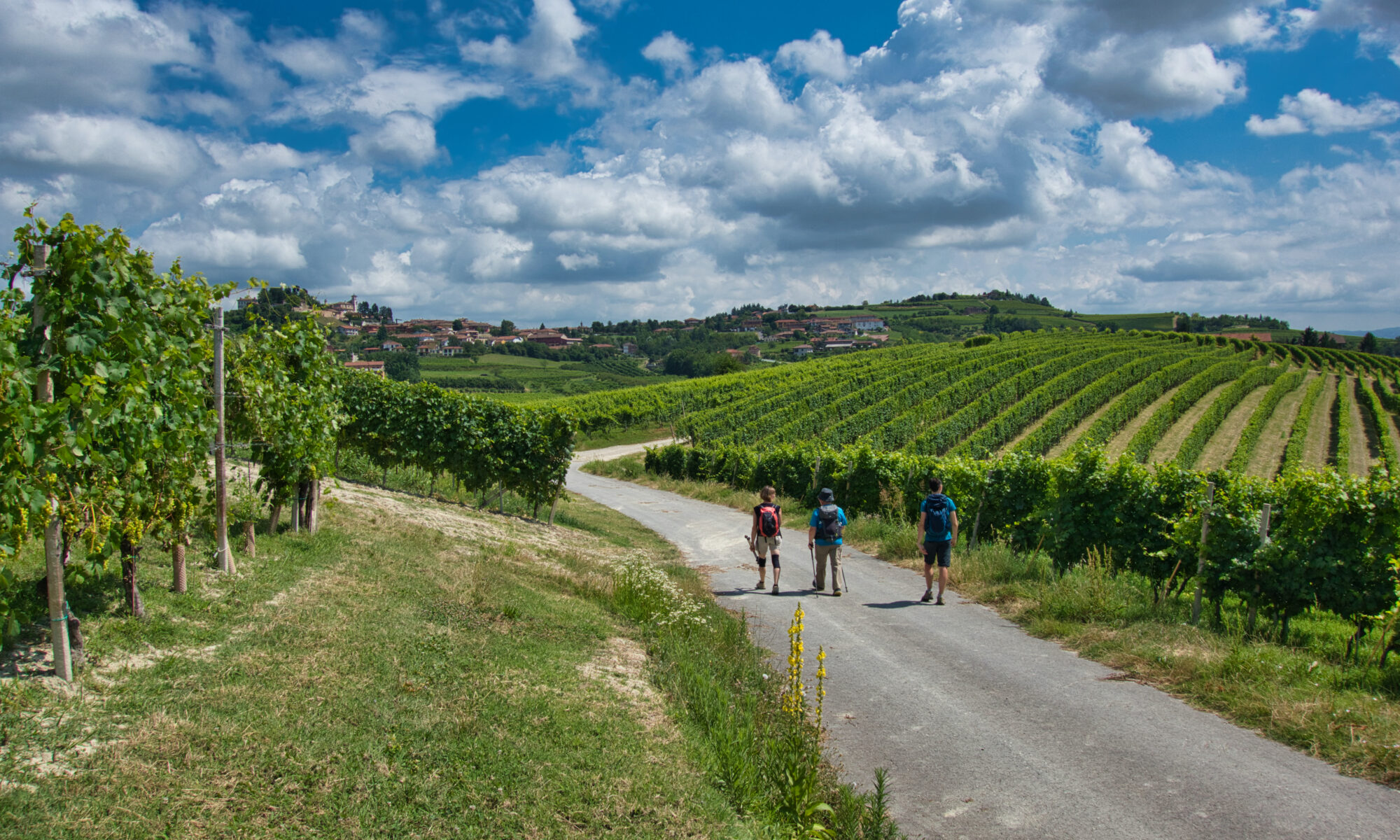 camminate alba - eventi