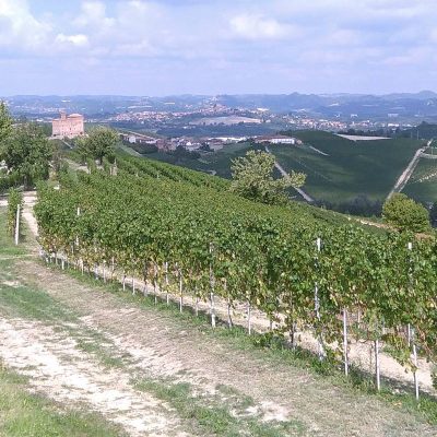 Cantina Vini Bio Bula - eventi