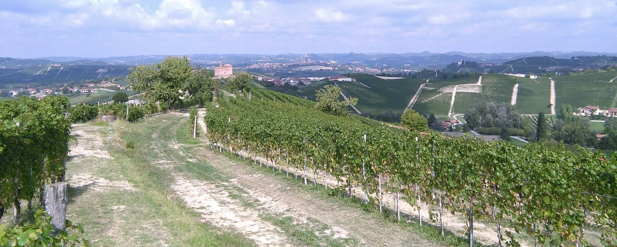 Cantina Vini Bio Bula - eventi