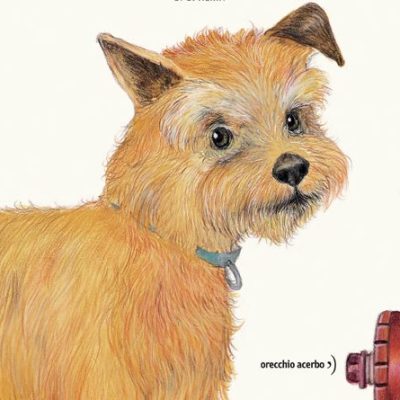 il cane giallo - libro