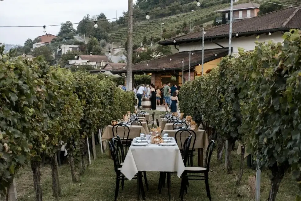 pranzo in vigna - eventi