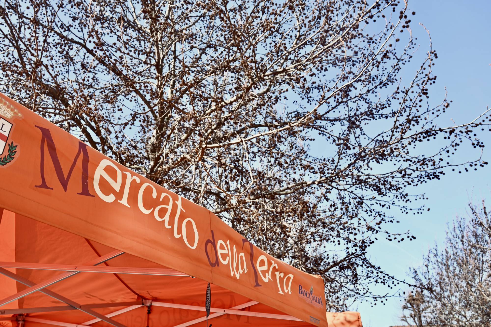 scarti d’autore – eventi